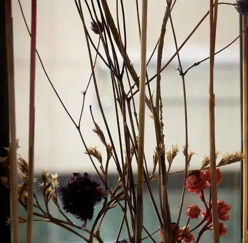 酒店 Dacia Rrt 布加勒斯特